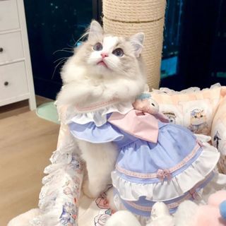 寵物衣服 貓咪衣服 防掉毛透氣 防曬背心 可愛公主風背心狗狗衣服公主裙子洛麗塔可牽引貓咪夏裝薄款奶油朵朵甜美寵物