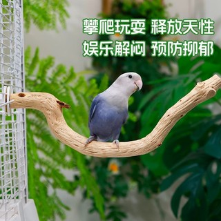 咔昂星鸚鵡花梨木站棍啃咬玩具鳥籠配件牡丹玄鳳和尚鸚鵡解悶站棍
