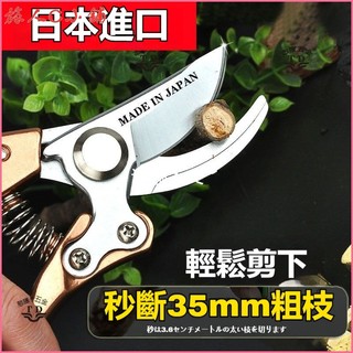可開發票日本園林修枝剪原裝SK5果樹剪刀家用剪樹枝剪子新款強力枝剪 園林修枝剪 樹枝剪 園藝剪 花剪 花藝剪刀