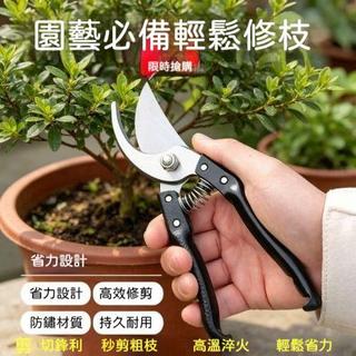 ⚡臺灣速發⚡原裝日本VVT進口SK5強力園藝修枝剪 果樹專用 新款園林家用省力款花枝園藝剪 修剪樹枝 強力剪刀9WRN