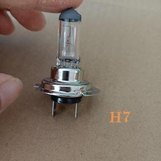 H7燈泡12v 55W 24V 70W 汽車大燈遠光燈/近光燈鹵素燈H7遠光燈可開發票✔GT汽配🚗臺中出貨🚗