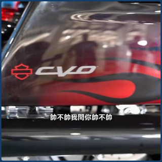 💥台灣出貨💥貼紙 防水 哈雷戴維斯雙燈117CVO防水貼紙 哈雷旗艦大滑翔117CVO防水貼花