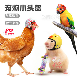 免運🔥寵物安全帽 小雞安全帽 鸚鵡防打架頭套 蜜袋鼠機車帽 搞怪寵物裝扮 寵物飾品 可愛造型頭套 寵物頭飾 趣味裝扮