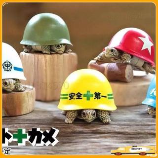 免運🚚烏龜安全帽】龜安全帽 水族創意造型 寵物創意玩具