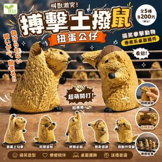 Pure🌈YELL搏擊土撥鼠扭蛋公仔 搞笑拳擊動物擺件 桌面療癒玩具 🥊交換禮物