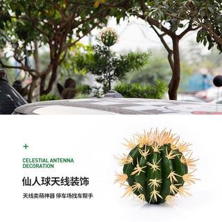 寶馬迷你mini cooper改裝仙人掌天線球F60汽車車頂裝飾仙人球玩偶