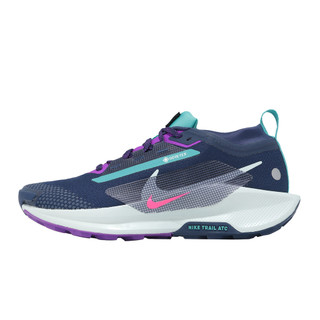 Nike 防水越野跑鞋 Pegasus Trail 5 GTX 男鞋 藍 戶外 機能 FQ0908-403 [ACS]