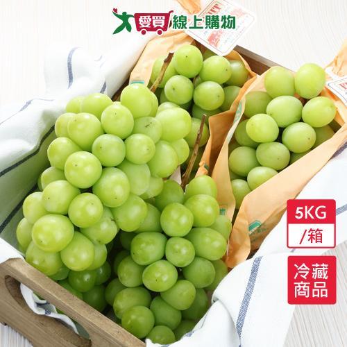 日本麝香綠葡萄5kg/箱(約11-12房含箱重)【愛買冷藏】