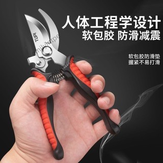 🔥台灣出貨🔥園藝剪刀 進口SK5不鏽鋼修枝剪 樹枝剪刀 剪枝剪刀 農用花藝剪 切割工具