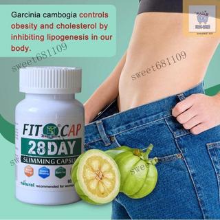 嘉怡專購⚡️ 熱銷新品下殺價！Natural 28 days Fit capsule 0.6g*60顆/瓶 28天fit