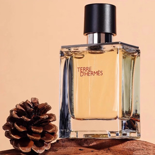 【現貨現發】 HERMÈS 愛馬仕 大地淡香水 EDT 100ml 木質柑橘調 沉穩內斂 清新木質柑橘調 -韓素