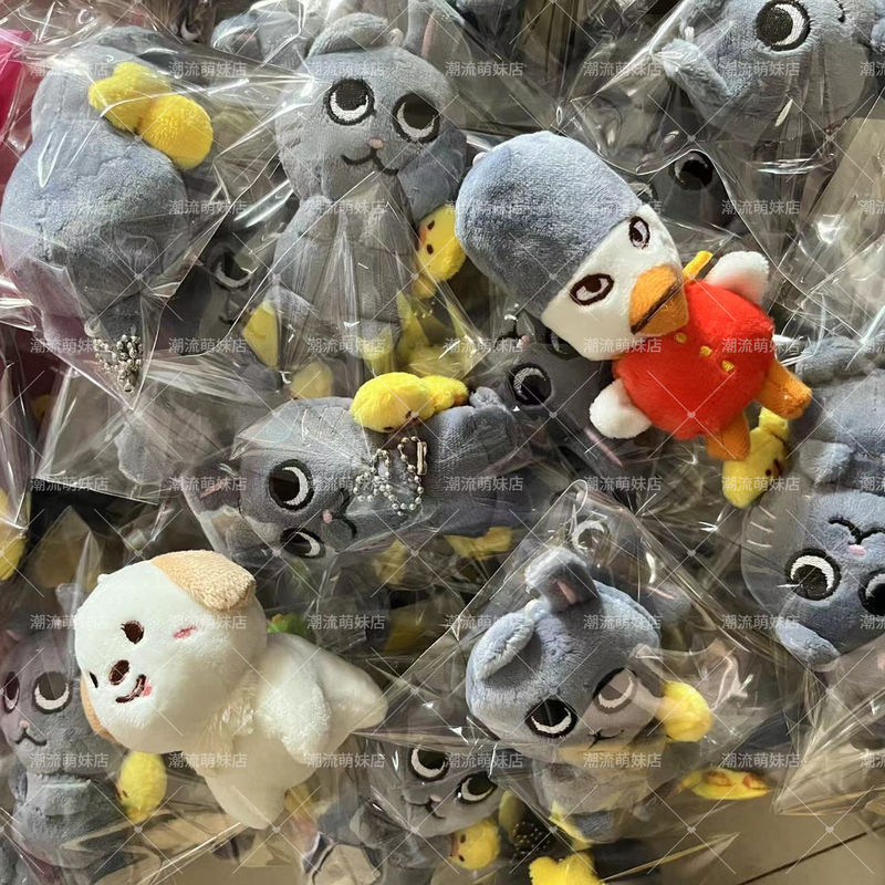 【現貨】正版 官方 riize 娃娃 riize 小卡 riize 快閃 riize 特典 娃專 衣服 專輯 週邊 