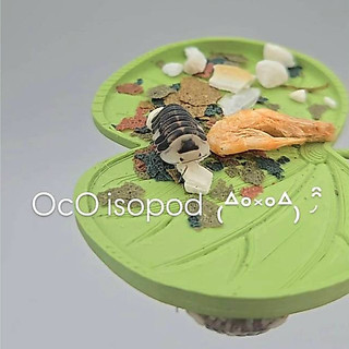 【OcO】 • Terra Plate • 食盆系列