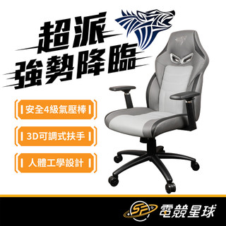 PC Park PG-301 黑灰 | 廠商配送自行組裝 | 電競 | 電腦椅