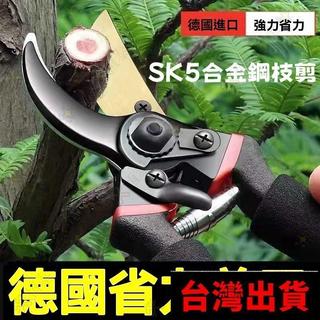 🛠️五金優選✨🔥粗枝剪 SK5園藝剪 修枝剪 果剪 園藝剪 樹枝剪 強力園藝修枝剪 花枝剪 修樹枝剪刀 樹枝剪刀 剪