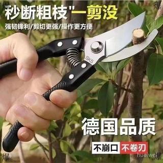 台灣24h🐑SK5鋼樹枝剪刀 粗枝園林剪 修剪果樹 修枝剪 多用途花園剪刀 樹枝 花卉 花剪 園藝剪 花藝剪刀 園藝剪刀