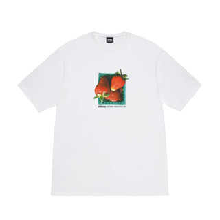 [FLOMMARKET] Stussy Berries Tee 草莓短T 白色