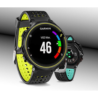 佳明 洞洞 Garmin Forerunner 220 230 235 620 630 735 錶帶 S20 S5 S6