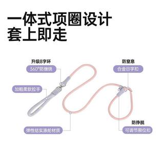 🔥限量搶購🔥Touchdog小中大型犬訓犬防爆衝賽級P繩P鏈1.5米狗牽引繩遛狗鏈子
