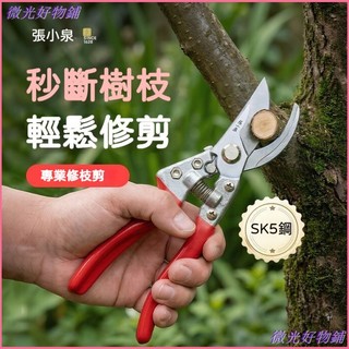 可開發票【張小泉】SK5鋼園藝剪刀修枝剪果樹剪枝專用樹枝盆景摘果剪專用工具 修枝剪 高枝剪 修花剪刀 果樹剪 花藝剪刀