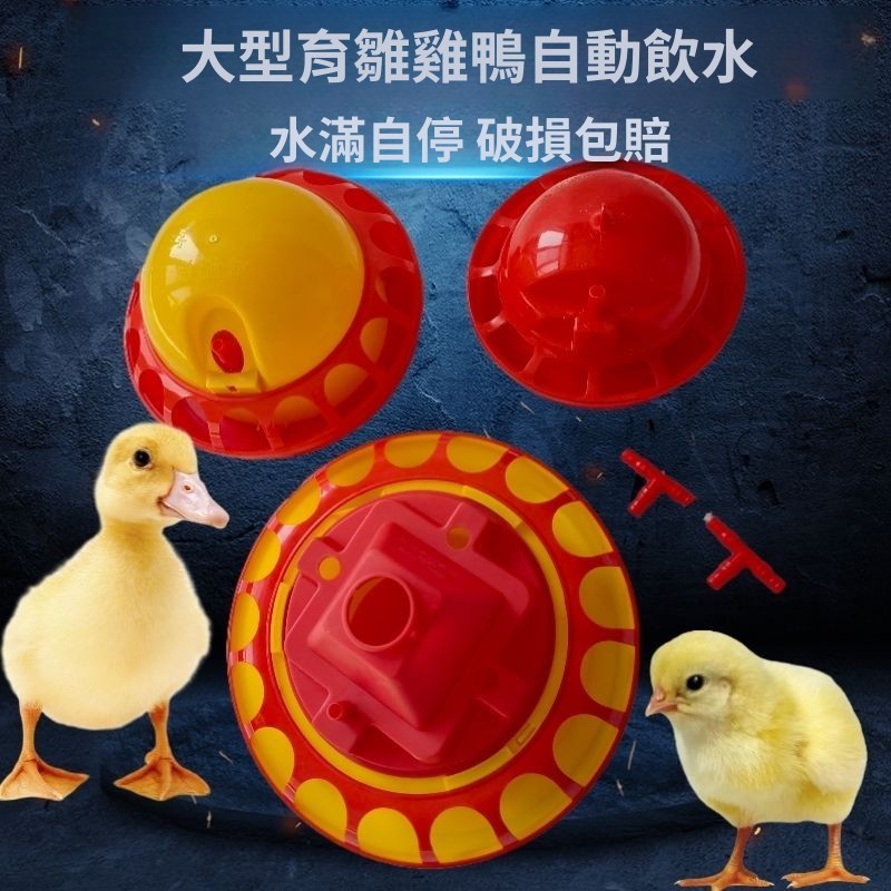 小雞喝水飲水器 雛雞自動飲水器 雞苗鵪鶉小雞喂水器 雞用雛雞鴨自動 自動出水 小流量設計 雛禽專用