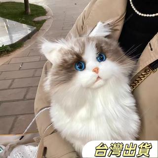 模擬可愛布偶貓咪玩偶揹包毛絨娃娃玩具公仔禮物生日女朋友三花貓模擬貓咪玩偶寵物抱枕布偶貓背包毛絨玩具