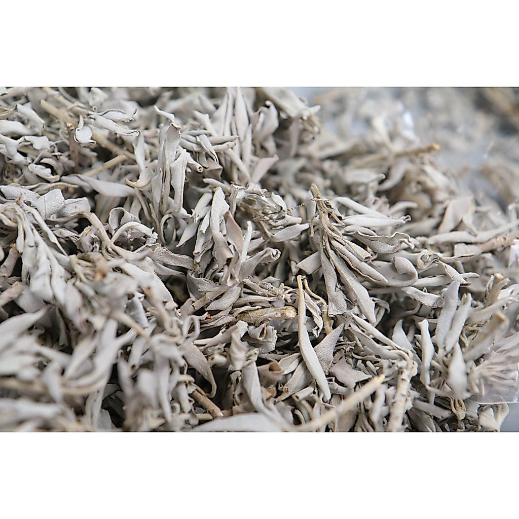 [光原力]美國加州進口  白鼠尾草 白色鼠尾草 白鼠尾草粉 散裝 50g 100g 買10送一