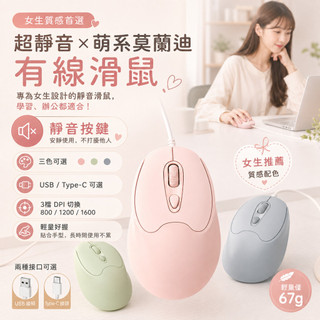 【台灣現貨】靜音有線滑鼠 USB Type-C滑鼠 3檔DPI 電腦滑鼠筆電滑鼠 女生辦公學生 莫蘭迪輕量滑鼠 S109