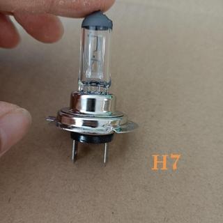 【H7燈泡 12V 55W 24V 70W 汽車大燈 遠光燈 近光燈 鹵素燈 遠光燈 大燈 電燈泡 12V LED燈 汽