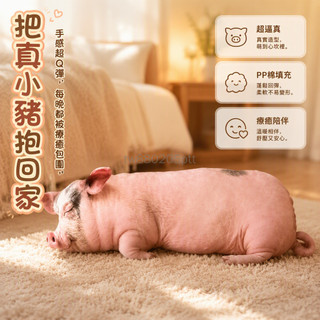 台灣出貨 模擬豬造型 閉眼睡眠神態 黑色斑紋細節 55cm35cm兩種尺寸 雙重形態抱枕玩偶 臥室床鋪居家地毯場景