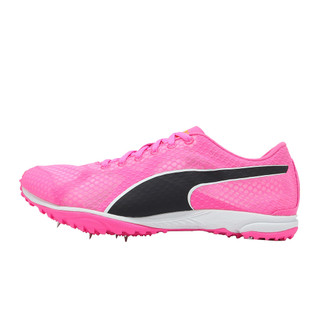 Puma 田徑釘鞋 EvoSpeed Haraka 8 男鞋 粉紅 可拆式 抓地 313591-02 [ACS]