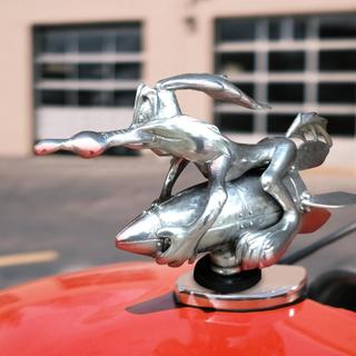 Wile E Coyote Hood Ornament - A Surprise Decoration for Car