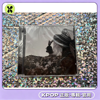 官方正品⭐ [全新未拆]ashisland 尹軫映 專輯 rose ash island