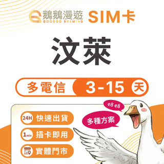 【鵝鵝漫遊】汶萊網卡 3~15天｜高速喫到飽 汶萊上網絡卡 汶萊網路卡 汶萊SIM卡 支援熱點分享 隨插即用 DSTCom