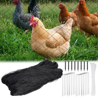 Chicken coop bird net, orchard and vegetable field bird net