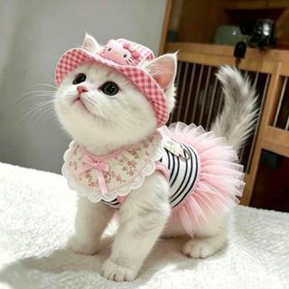 【24小時特賣】寵物帽子 貓咪帽子 狗狗帽子 貓咪帽子夏季薄款kitty貓防曬遮陽帽寵物ins風拍照裝扮漁夫帽圍兜