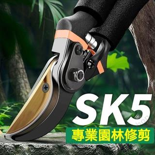 促銷🔥德國進口SK5強力園藝剪刀 不鏽鋼省力修枝剪刀 高硬合金果樹枝條摘果剪 粗枝樹枝採果專用剪子 花藝輕鬆剪刀器具