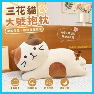 9800+五星好評🌟 三花貓毛絨玩具公仔兒童睡覺大號抱枕可愛布娃娃玩偶送女生日禮物 0WMD