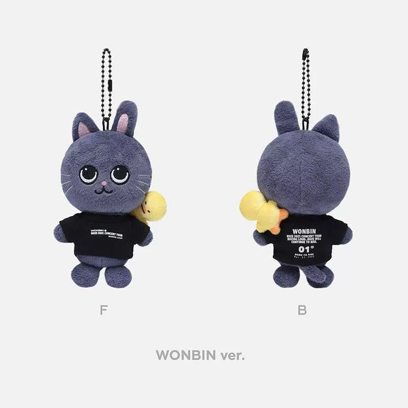 【現貨】正版 官方 riize 娃娃 riize 小卡 riize 快閃 riize 特典 娃專 衣服 專輯 週邊 