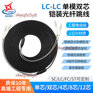 【可開發票】輝宏時代 戶外鎧裝單模光纖跳線 雙芯免熔接 萬兆 LC轉SC/FC/ST 電信級阻燃