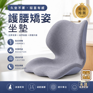 【護腰矯姿坐墊 免運】人體工學美臀墊 一體成型護脊減壓 久坐不累 加大加厚 辦公室居家 電腦椅通用 坐姿矯正神器 GOL