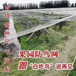⟡園藝熱銷⟡庭園防鳥網 防護網 防鳥罩 陽台網 果樹網 厝鳥網 尼龍網 葡萄網 魚塘天網 保護農作物 驅鳥 防鳥