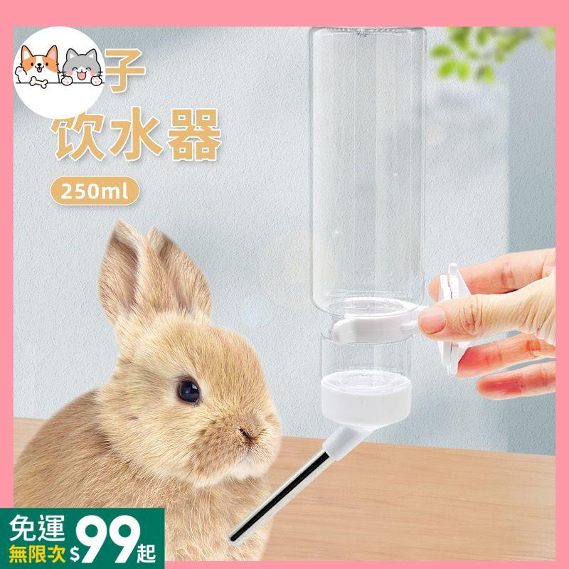 499免運🎁500ml/250ml大容量滾珠飲水機飲水器兔子荷蘭豬花枝鼠龍貓水壺[TZ14]