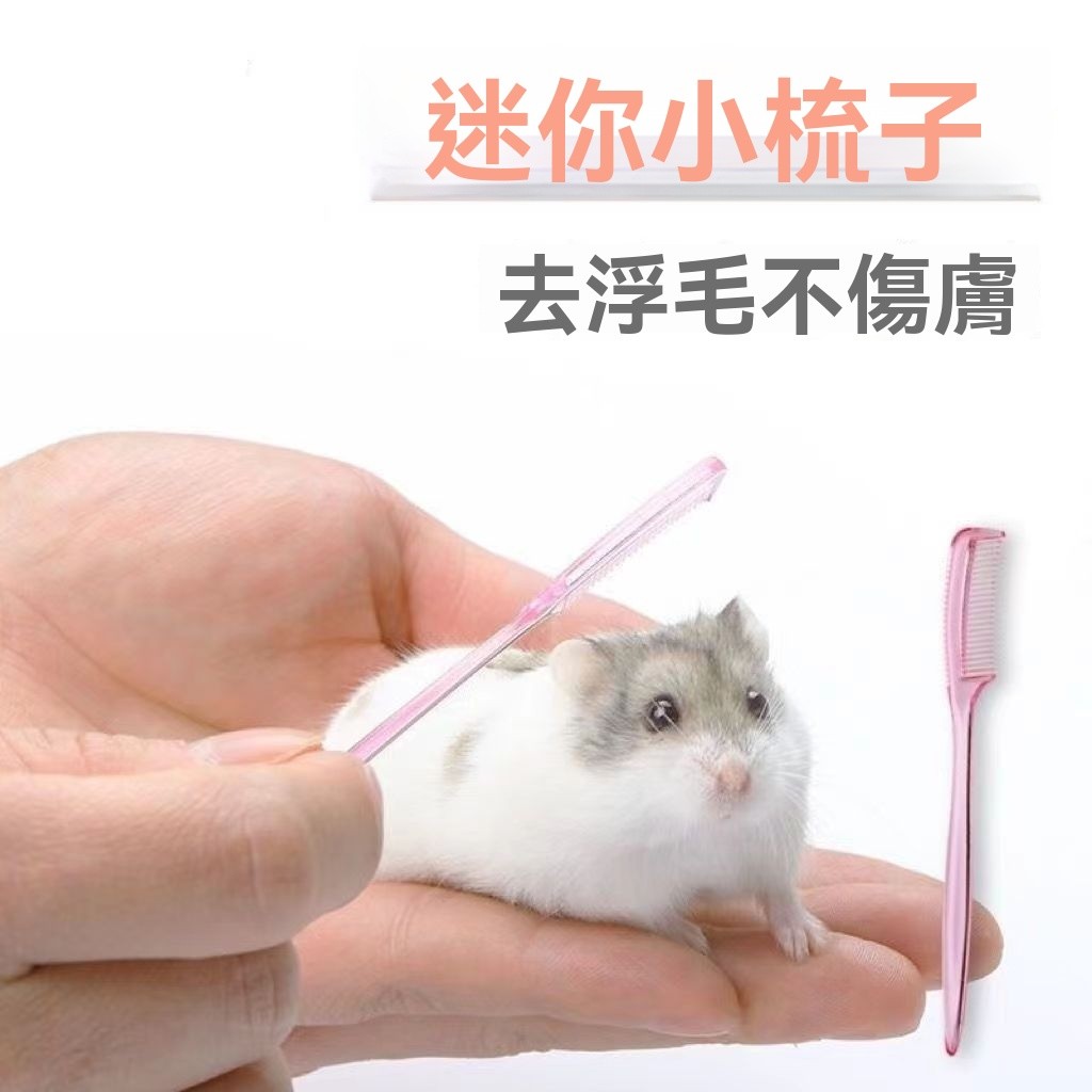 【鼠來寶 鼠鼠D樂園】台湾现货 48小时出货 迷你小梳子 仓鼠梳毛发掉毛脱长毛 金丝熊小梳子 蜜袋鼯小宠物仓鼠用品全套