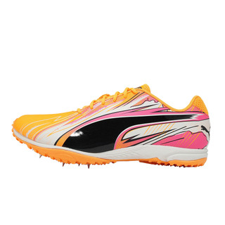 Puma 田徑鞋 EvoSpeed Haraka Sparked 男鞋 黃 中長跑 釘鞋 313592-01 [ACS]
