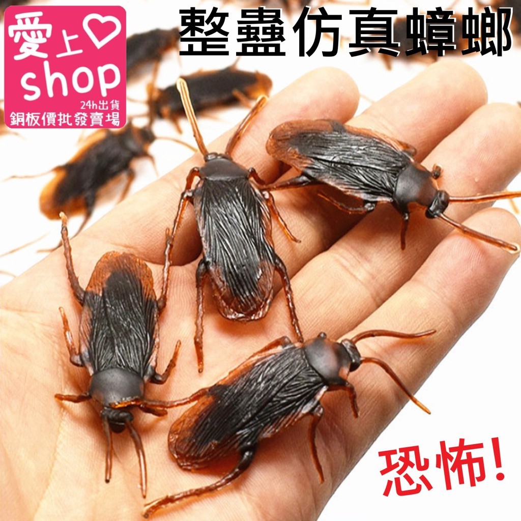 🚚台灣當日出貨🚚仿真🪳蟑螂🪳蜈蚣🪳小強🪳假蜈蚣🪳小蟑螂🪳整人玩具🪳整蛊玩具🪳創意整人🪳惡搞玩具🪳萬聖節🪳玩具