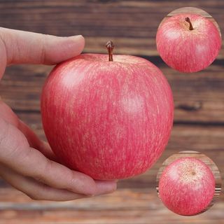 模擬蘋果 蘋果模型🍀模擬蘋果模型假蘋果富士紅蘋果青蘋果蛇果道具擺件室內陳列裝飾品 模擬水果模型 假蘋果