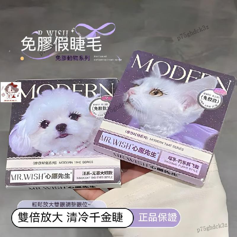 🆕新品上架       心願先生假睫毛 摩登時刻系列 喵千金 淚汪汪 免膠睫毛 淡妝自然上鏡感 心願先生 免膠假睫毛 