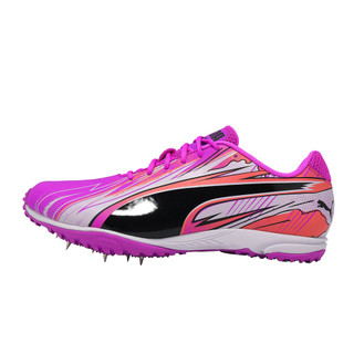 Puma 田徑鞋 EvoSpeed Haraka Sparked 男鞋 紫 中長跑 釘鞋 313592-02 [ACS]
