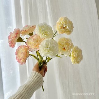 康乃馨仿真花假花母親節敎師節房間臥室客廳裝飾花藝擺件拍照道具